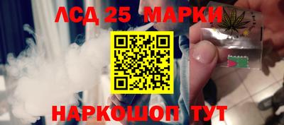 молекула духа Шелехов