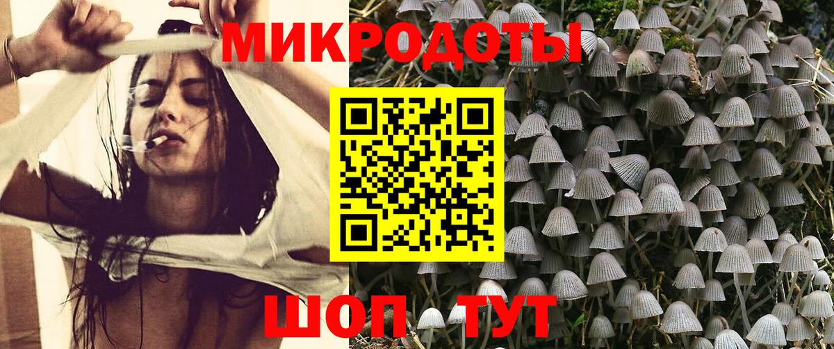 Псилоцибиновые грибы мицелий  Вход с VPN  Владимир 